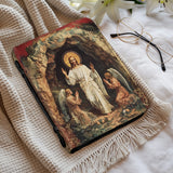 Catholight Triumph Of Light Bible Cover